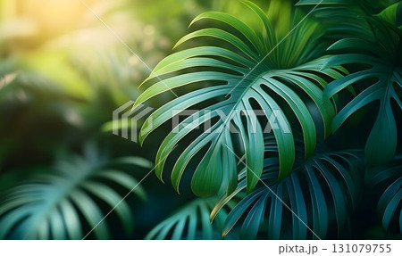Lush Green Monstera Leaf Illuminated by Soft Sunlight in Nature 131079755