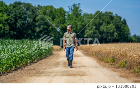 Agricultural cornfield harvest season. Farming advertisement. Man harvesting at crop field. Harvest man at field. Faming and agriculture. Farmer man in cornfield. Harvest crop. Field worker 131080203