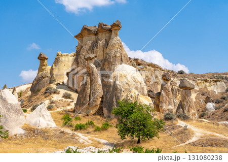 Volcanic rock formations landscape in Cappadocia, place of residence of ancient Christians 131080238
