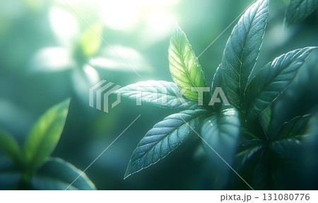 Dew-Kissed Emerald Leaves Bathed in Soft Light, Revealing Delica 131080776