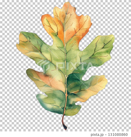 Classic oak leaf in watercolor style showing seasonal change, isolated on white background. Great for harvest themes or Thanksgiving design projects 131080860