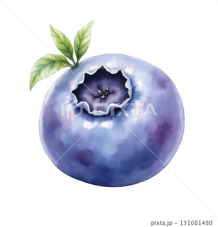 Artistic Blueberry Illustration with Leaves on Transparent Background Detailed 131081480