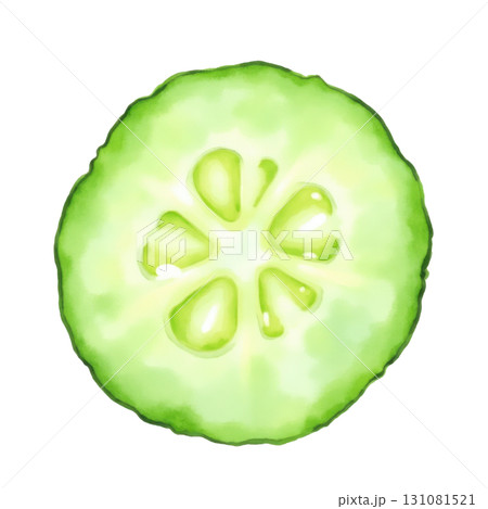 Fresh Cucumber Slice Watercolor Style Illustration Healthy Green Vegetable 131081521