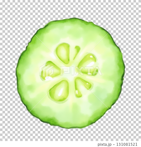 Fresh Cucumber Slice Watercolor Style Illustration Healthy Green Vegetable Fresh Cucumber Slice Watercolor Style Illustration Healthy Green Vegetable 131081521