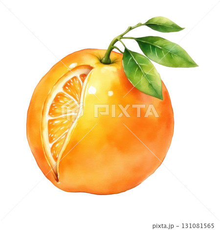 Watercolor painting of a vibrant orange fruit with a slice cut out 131081565