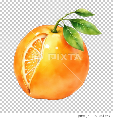 Watercolor painting of a vibrant orange fruit with a slice cut out 131081565