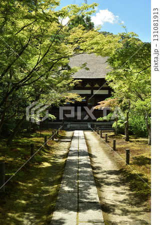 夏の酬恩庵一休寺 本堂へつづく参道(京都府京田辺市) 夏の酬恩庵一休寺 本堂へつづく参道(京都府京田辺市) 131081913