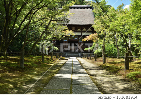 夏の酬恩庵一休寺 本堂へつづく参道(京都府京田辺市) 夏の酬恩庵一休寺 本堂へつづく参道(京都府京田辺市) 131081914