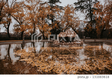 Autumnal pond scene with trees reflecting in calm water. A serene autumn lake features reflecting trees with golden leaves, a tranquil atmosphere. 131083618