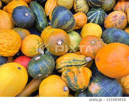 Decoration made from small pumpkins. Colored pumpkins in different varieties 131083658