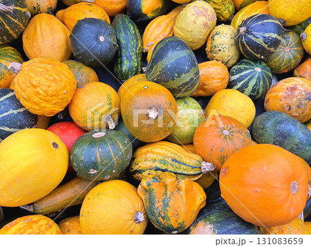 Decoration made from small pumpkins. Colored pumpkins in different varieties 131083659