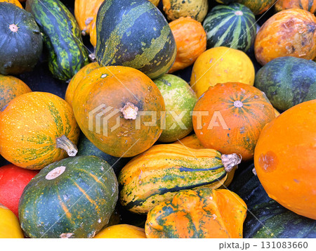 Decoration made from small pumpkins. Colored pumpkins in different varieties 131083660