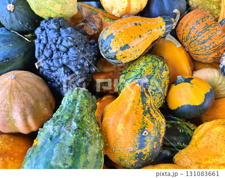 Decoration made from small pumpkins. Colored pumpkins in different varieties Decoration made from small pumpkins. Colored pumpkins in different varieties 131083661