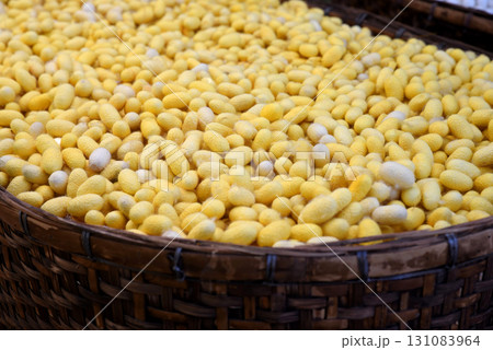 Pile of yellow silkworm cocoons in bamboo basket, natural raw material fibers. a source of silk thread and silk fabric 131083964