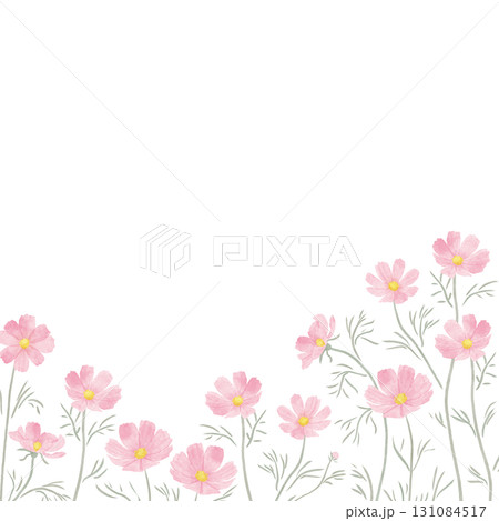 水彩風のピンク色のコスモスのフレーム（正方形） 131084517