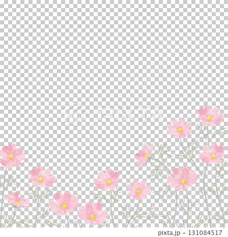 水彩風のピンク色のコスモスのフレーム（正方形） 131084517