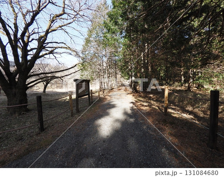 2月の小田貫湿原の風景（静岡県富士宮市） 131084680