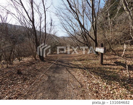 2月の小田貫湿原の風景（静岡県富士宮市） 131084682