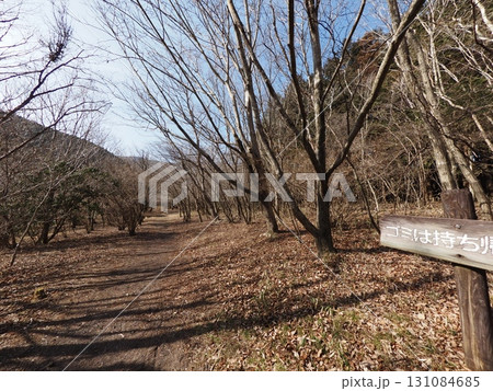 2月の小田貫湿原の風景(静岡県富士宮市) 2月の小田貫湿原の風景(静岡県富士宮市) 131084685