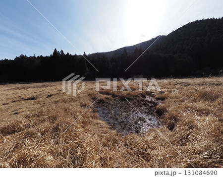 2月の小田貫湿原の風景（静岡県富士宮市） 131084690