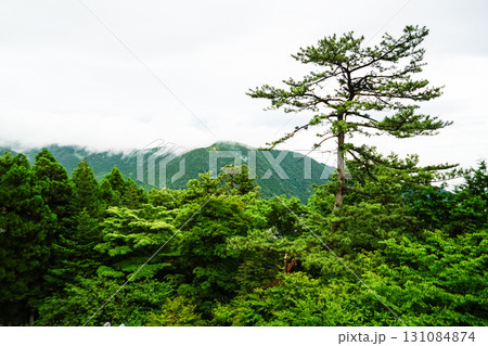 箱根山　明星ヶ岳の大文字 131084874