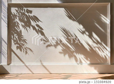 White Wall Texture with Tree Shadows White Wall Texture with Tree Shadows 131084920