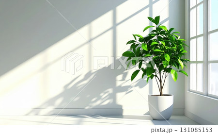 《AI画像》柔らかい陽の光が差し込む観葉植物の置かれた白い部屋 《AI画像》柔らかい陽の光が差し込む観葉植物の置かれた白い部屋 131085153