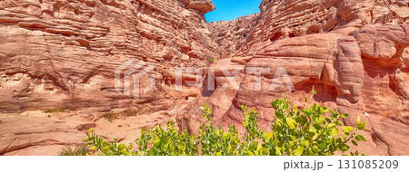 Scenic canyon landscape in the desert of South Sinai, Egypt Scenic canyon landscape in the desert of South Sinai, Egypt 131085209