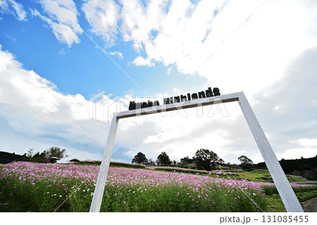 綺麗な上原高原 綺麗な上原高原 131085455