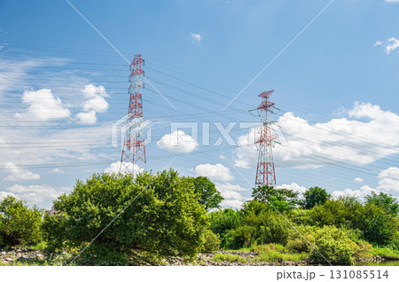 淀川風景　河原からの眺め　大阪府枚方市 131085514