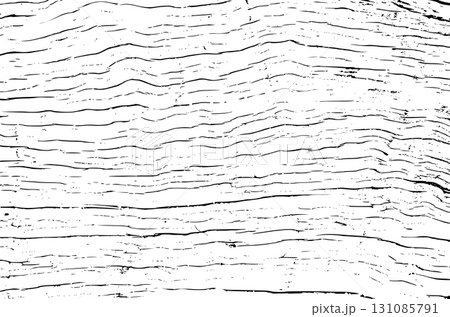 Tree bark texture 131085791