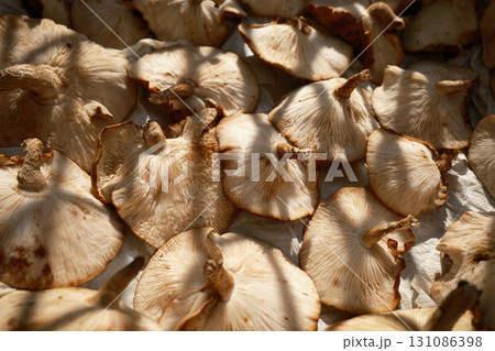天日干しするたくさんの椎茸 131086398