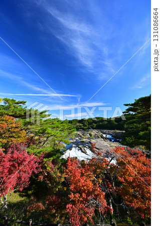 色づく秋の紅葉と曽木の滝 131086664