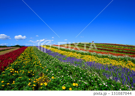 花の丘やくらいガーデン絶景の日　宮城県 131087044