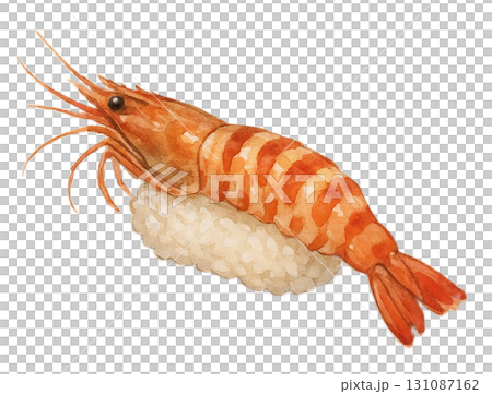 蝦握壽司插圖（1個） 131087162
