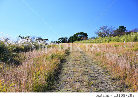 柳ヶ平散策路展望台の自然風景 131087298