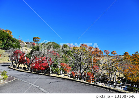 紅葉と神話の里の自然風景 131087646