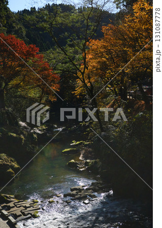 龍馬公園を流れる川の秋風景 龍馬公園を流れる川の秋風景 131087778