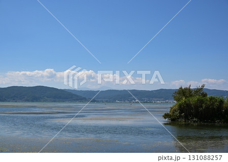 夏の諏訪湖　長野 131088257