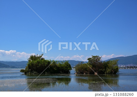 夏の諏訪湖 長野 夏の諏訪湖 長野 131088260