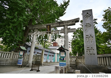 晴天の今戸神社 東京 晴天の今戸神社 東京 131088266