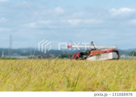 コンバインで稲刈りをするトラクター 131088976