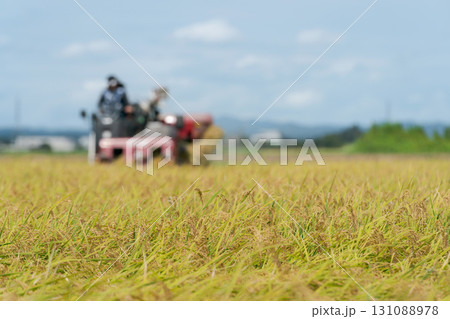 コンバインで稲刈りをするトラクター 131088978