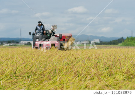 コンバインで稲刈りをするトラクター 131088979