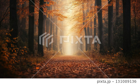 tranquil forest trail carpeted in brown and yellow leaves 131089136