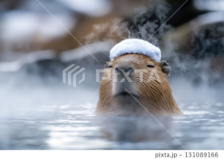 capybara relaxing in warm water with steam and snow on its head 131089166
