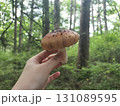 森で採取したきのこ 131089595