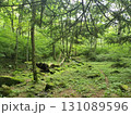 森林と登山道 131089596