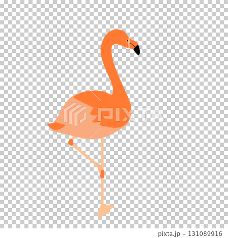 可愛的火烈鳥插畫 131089916