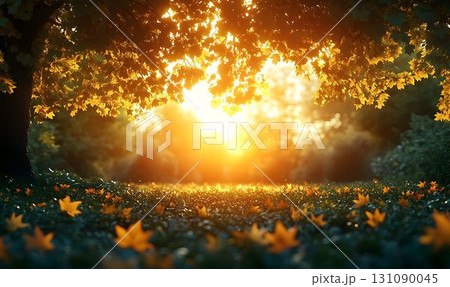 Golden Sunlight Illuminates Autumnal Leaves and Forest Floor in Golden Sunlight Illuminates Autumnal Leaves and Forest Floor in 131090045